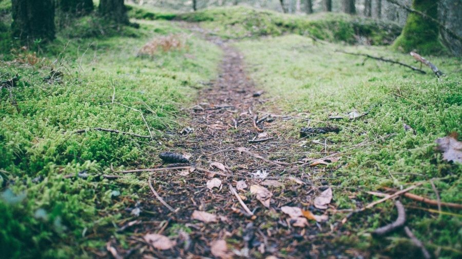 Life as a consultant: new beginnings